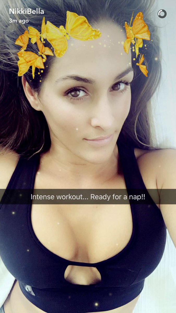 Nikki bella snapchat username